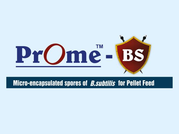 Uni-Nutrich Plus 1kg CC.cdr