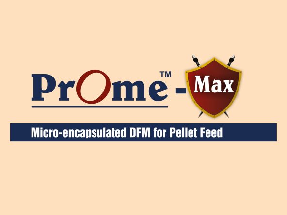 Uni-Nutrich Plus 1kg CC.cdr