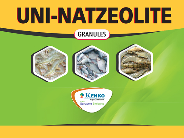 Uni Natzeolite